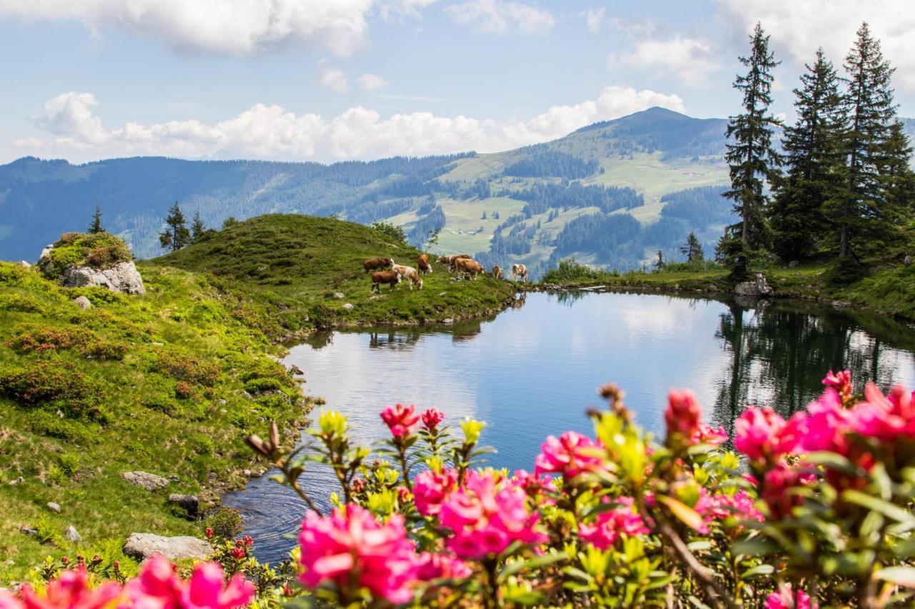 Haus Daniela Otel Wildschoenau Dış mekan fotoğraf
