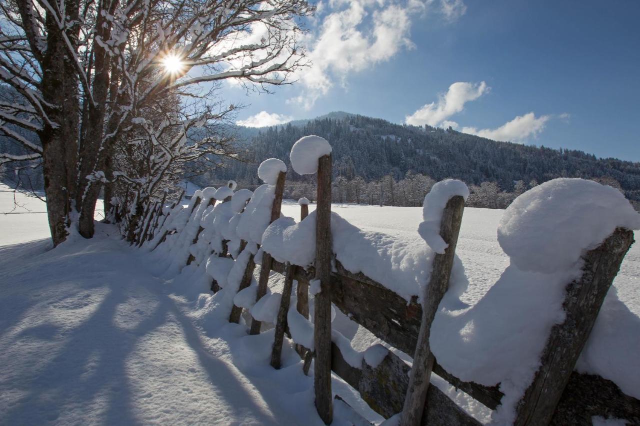 Haus Daniela Otel Wildschoenau Dış mekan fotoğraf