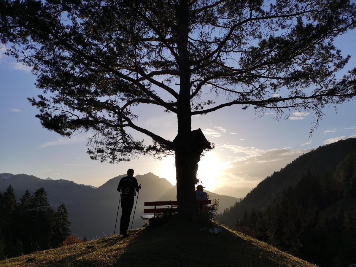 Haus Daniela Otel Wildschoenau Dış mekan fotoğraf